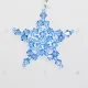 Star - Earrings Delphinus - 2